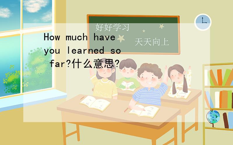 How much have you learned so far?什么意思?