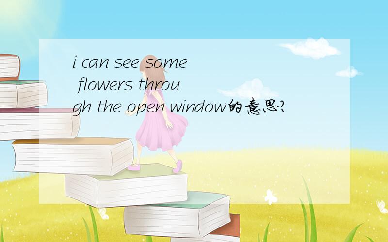 i can see some flowers through the open window的意思?