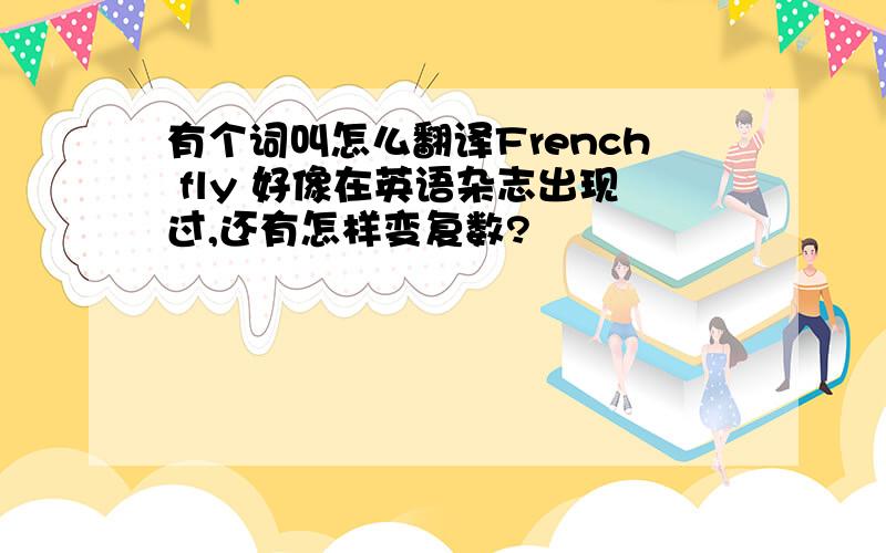 有个词叫怎么翻译French fly 好像在英语杂志出现过,还有怎样变复数?