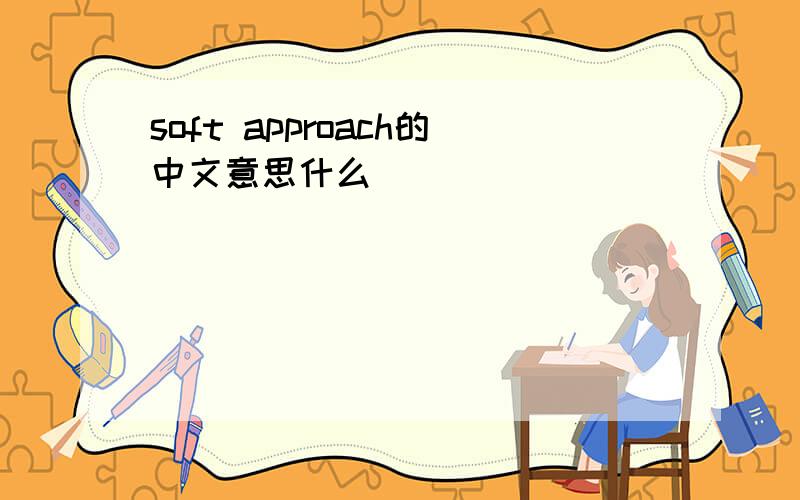 soft approach的中文意思什么