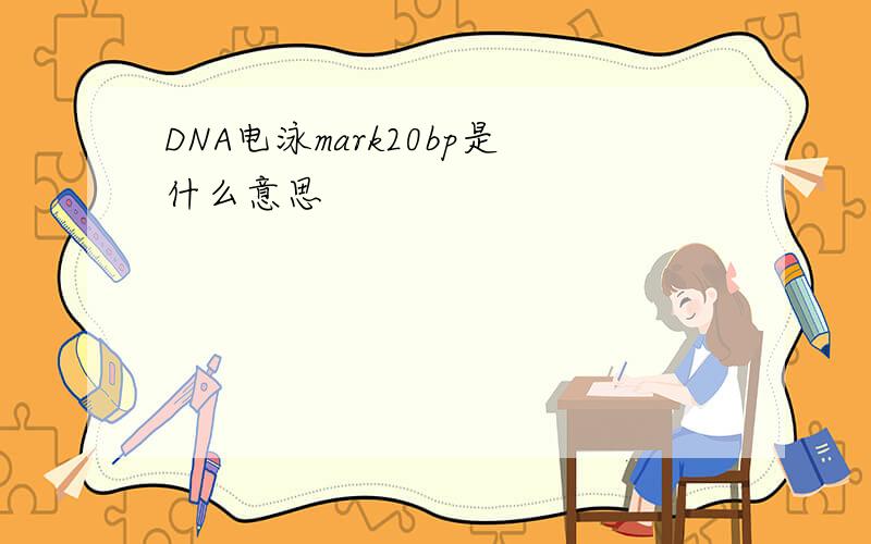 DNA电泳mark20bp是什么意思