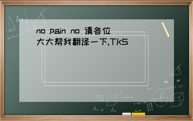 no pain no 请各位大大帮我翻译一下,TKS