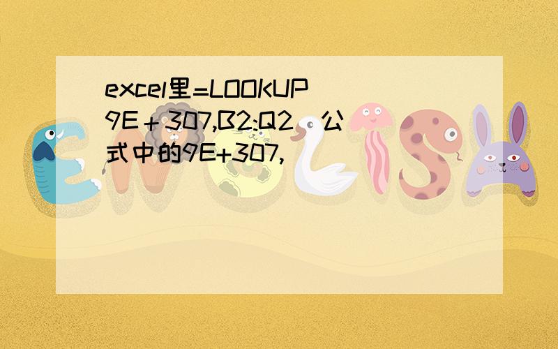 excel里=LOOKUP(9E＋307,B2:Q2）公式中的9E+307,
