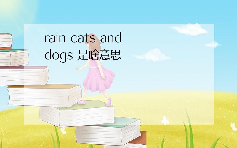 rain cats and dogs 是啥意思