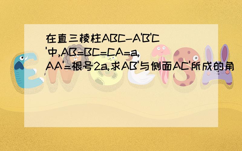 在直三棱柱ABC-A'B'C'中,AB=BC=CA=a,AA'=根号2a,求AB'与侧面AC'所成的角