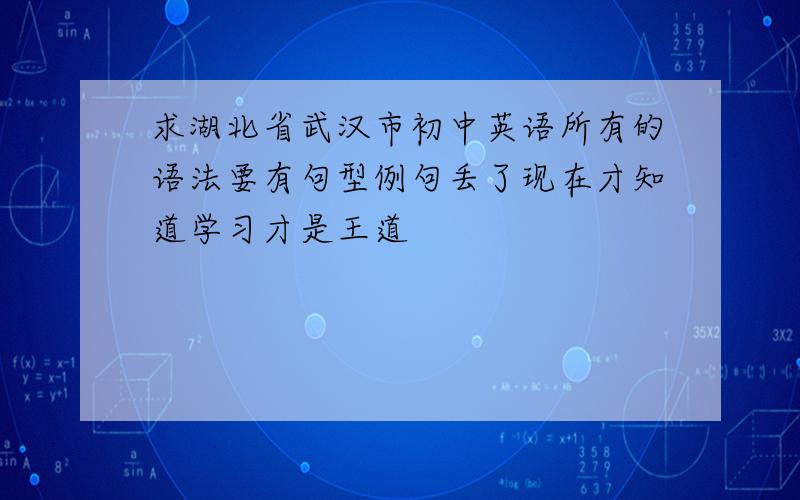 求湖北省武汉市初中英语所有的语法要有句型例句丢了现在才知道学习才是王道