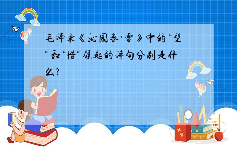 毛泽东《沁园春·雪》中的“望”和“惜”领起的诗句分别是什么?