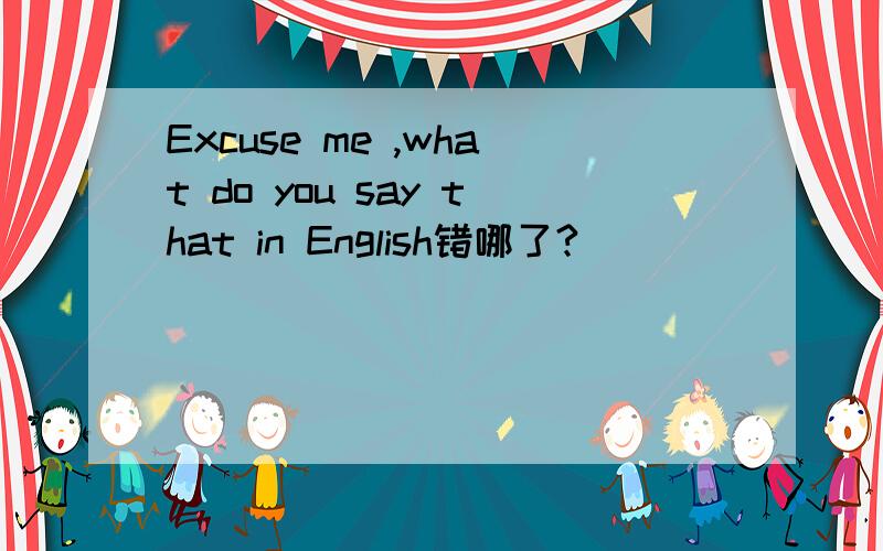Excuse me ,what do you say that in English错哪了?