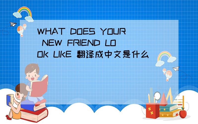 WHAT DOES YOUR NEW FRIEND LOOK LIKE 翻译成中文是什么