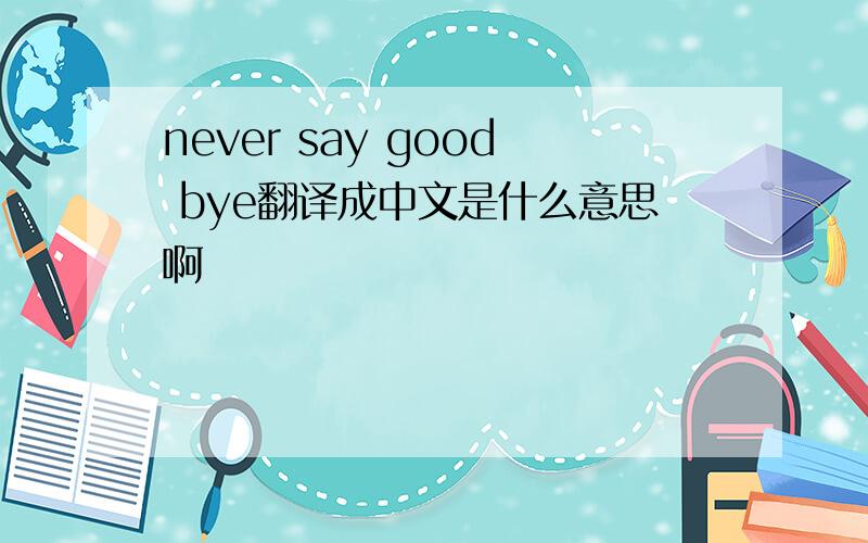 never say good bye翻译成中文是什么意思啊