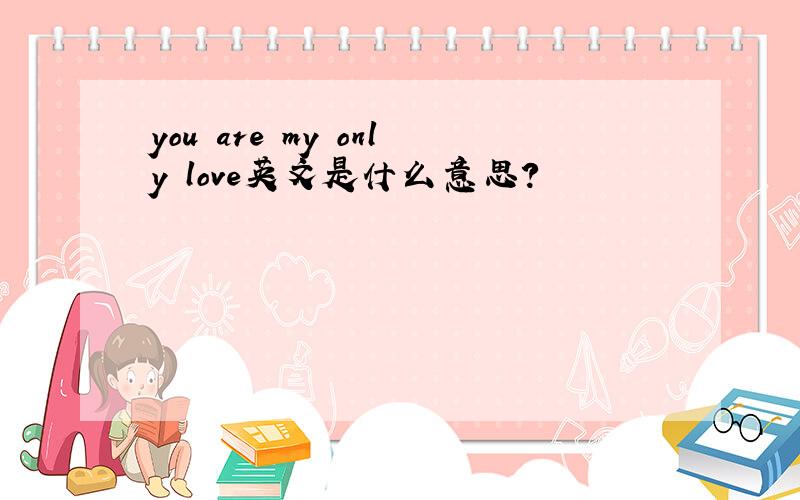you are my only love英文是什么意思?