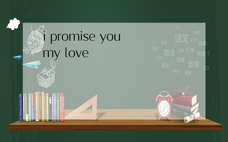 i promise you my love