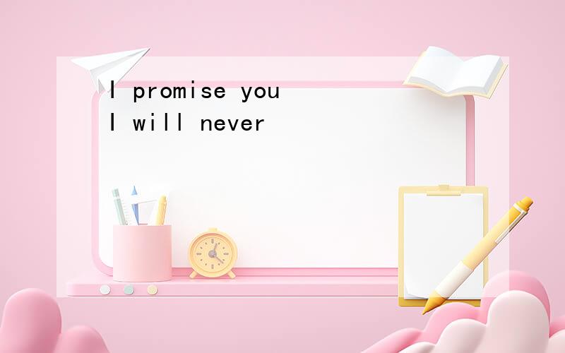 I promise you I will never