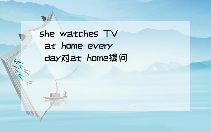 she watches TV at home every day对at home提问