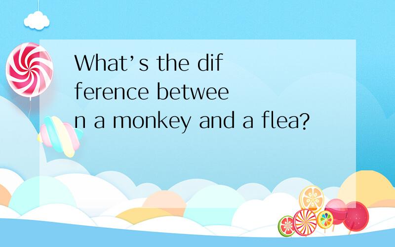 What’s the difference between a monkey and a flea?