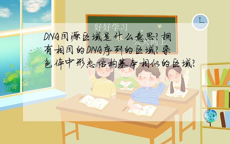DNA同源区域是什么意思?拥有相同的DNA序列的区域?染色体中形态结构基本相似的区域?