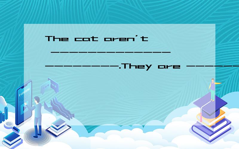 The cat aren’t ---------------------.They are -----------.