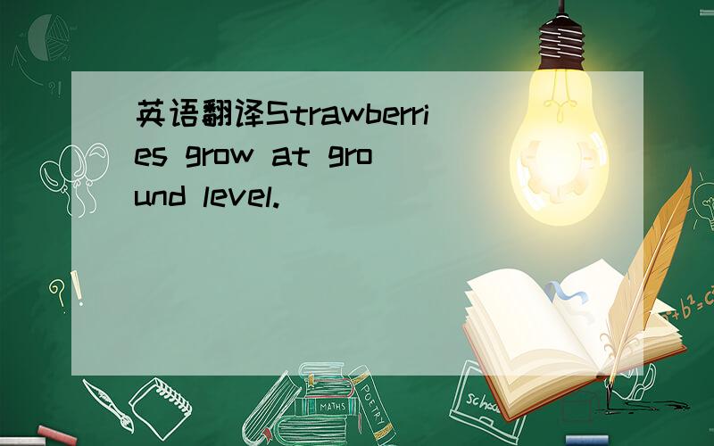 英语翻译Strawberries grow at ground level.
