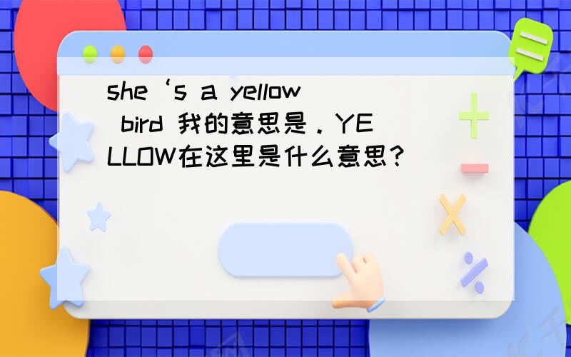 she‘s a yellow bird 我的意思是。YELLOW在这里是什么意思？