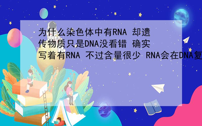 为什么染色体中有RNA 却遗传物质只是DNA没看错 确实写着有RNA 不过含量很少 RNA会在DNA复制时复制吗 为什么课文上一点也不介绍RNA的复制 是因为不重要吗?
