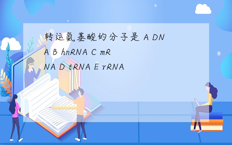 转运氨基酸的分子是 A DNA B hnRNA C mRNA D tRNA E rRNA