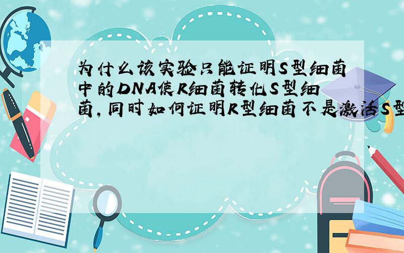 为什么该实验只能证明S型细菌中的DNA使R细菌转化S型细菌,同时如何证明R型细菌不是激活S型中的DNA呢?