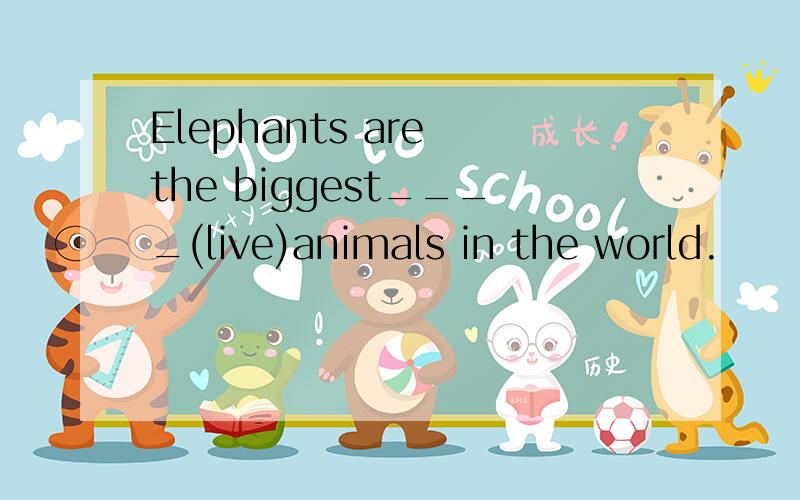 Elephants are the biggest____(live)animals in the world.