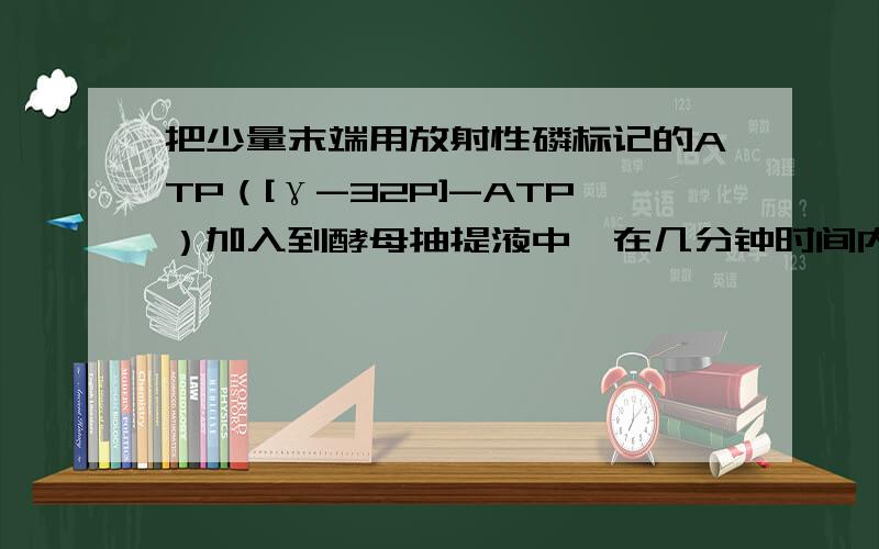 把少量末端用放射性磷标记的ATP（[γ-32P]-ATP）加入到酵母抽提液中,在几分钟时间内,大约一半的32P放射活性出现在Pi中,但是,ATP的浓度保持不变.如果用[β-32P]-ATP）代替[γ-32P]-ATP做同样的实验,