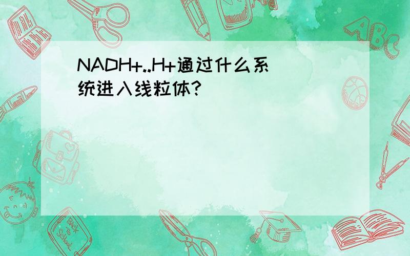 NADH+..H+通过什么系统进入线粒体?