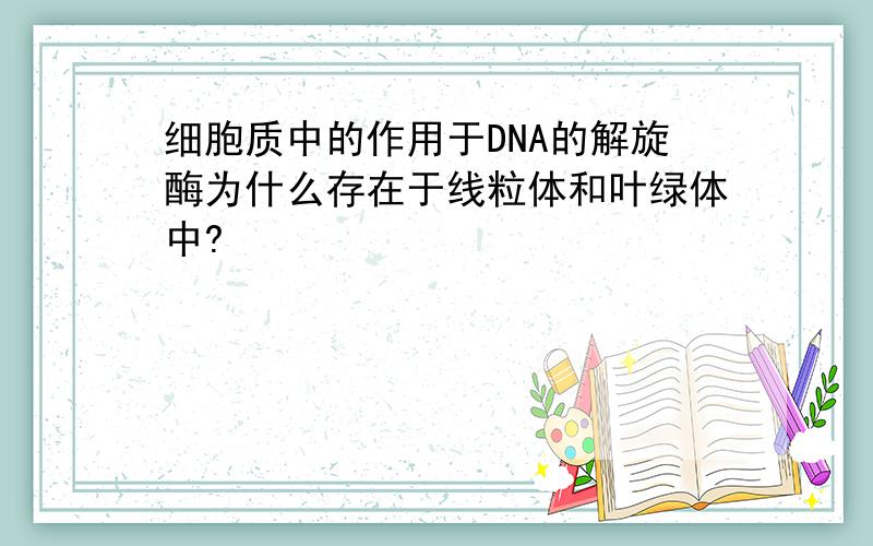 细胞质中的作用于DNA的解旋酶为什么存在于线粒体和叶绿体中?