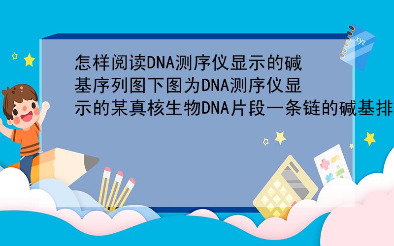 怎样阅读DNA测序仪显示的碱基序列图下图为DNA测序仪显示的某真核生物DNA片段一条链的碱基排列顺序图片.其其中图A的碱基排列顺序已经解读,其顺序是：GGTTATGCGT,请解读图B并依据B作答：