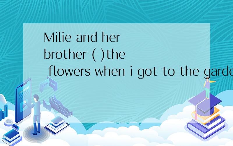Milie and her brother ( )the flowers when i got to the garden.填什么