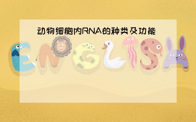 动物细胞内RNA的种类及功能