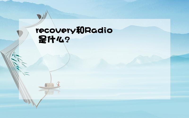 recovery和Radio 是什么?
