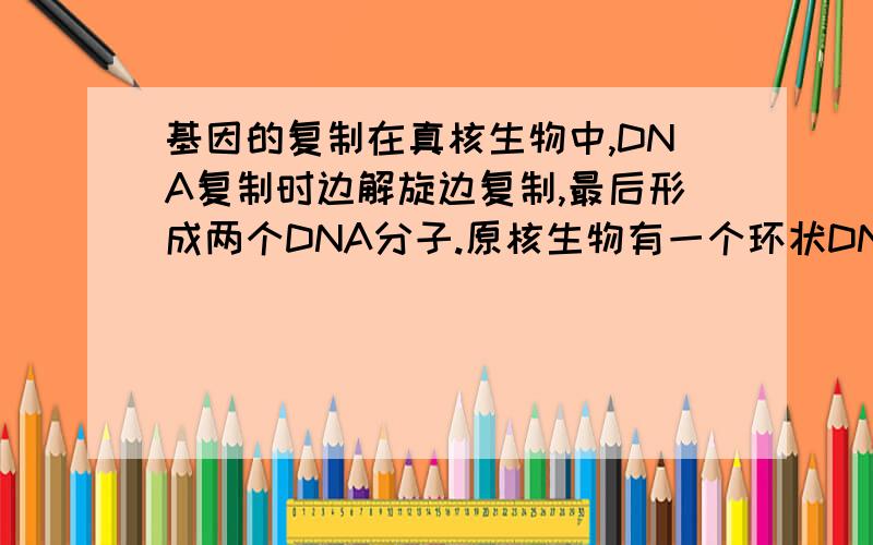 基因的复制在真核生物中,DNA复制时边解旋边复制,最后形成两个DNA分子.原核生物有一个环状DNA,它是怎么复制的?还有,它是不是螺旋结构?