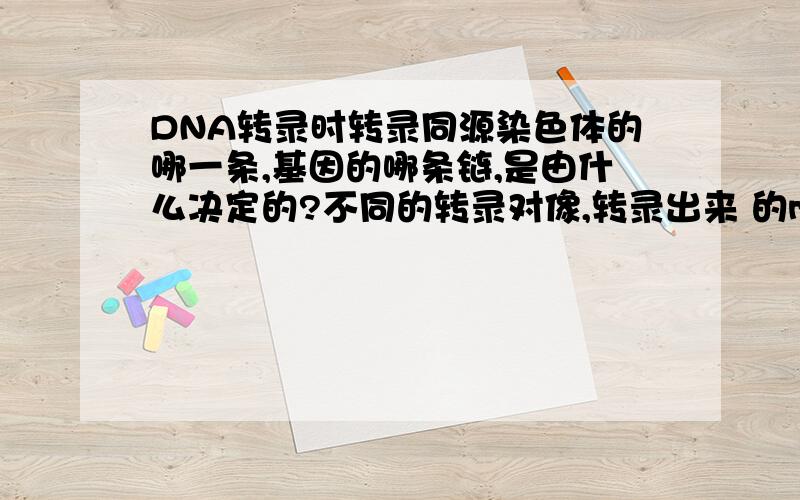 DNA转录时转录同源染色体的哪一条,基因的哪条链,是由什么决定的?不同的转录对像,转录出来 的mRNA是不一样的