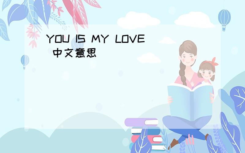 YOU IS MY LOVE 中文意思