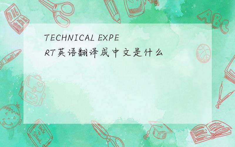 TECHNICAL EXPERT英语翻译成中文是什么