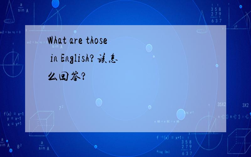 What are those in English?该怎么回答?
