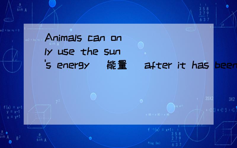 Animals can only use the sun's energy (能量) after it has been changed into food by plants如何翻译