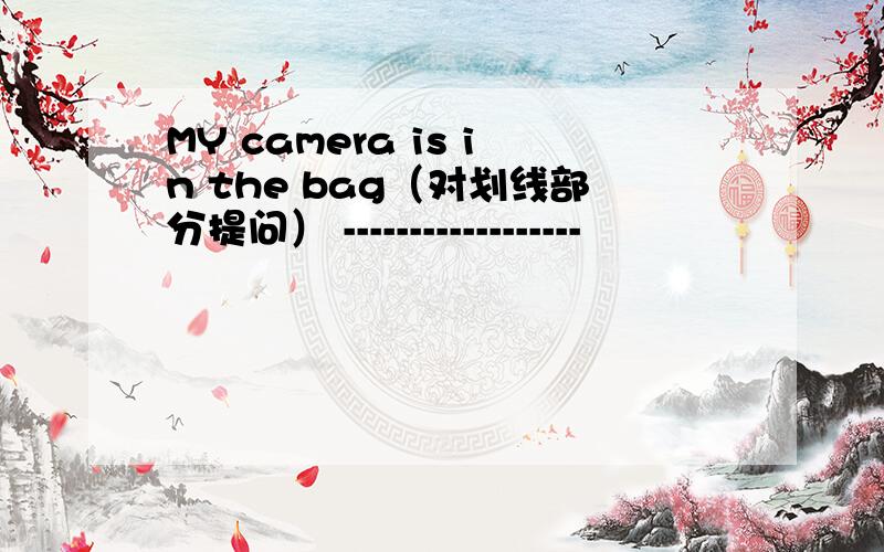 MY camera is in the bag（对划线部分提问） ------------------