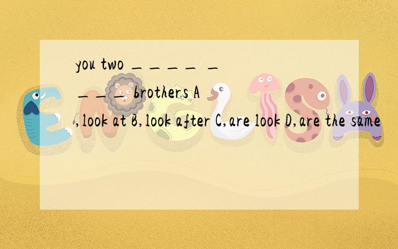 you two ____ ____ brothers A,look at B,look after C,are look D,are the same