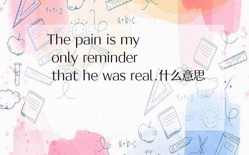 The pain is my only reminder that he was real.什么意思