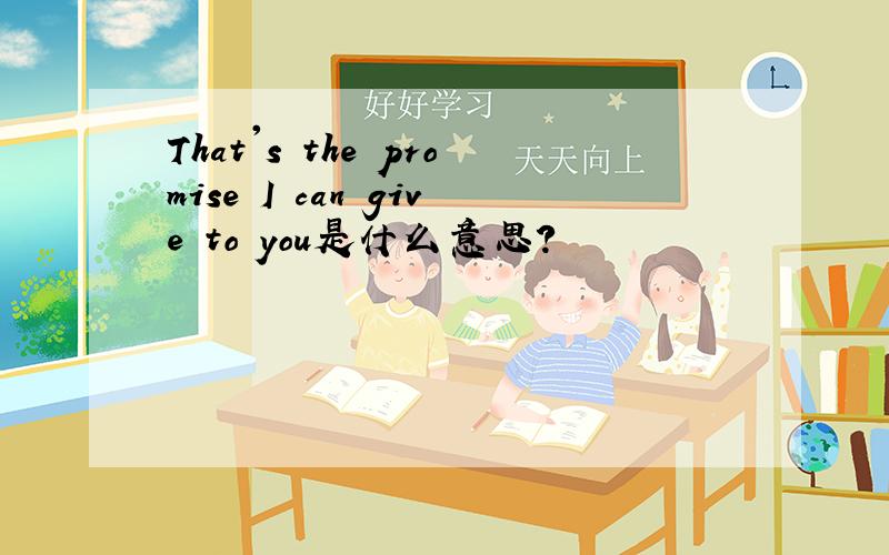 That's the promise I can give to you是什么意思?
