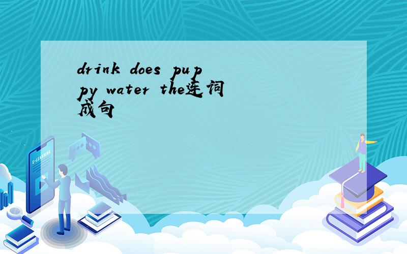drink does puppy water the连词成句