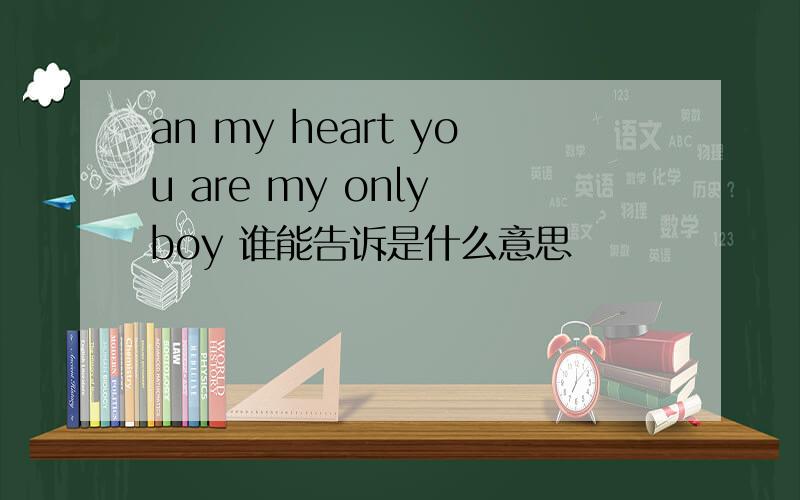 an my heart you are my only boy 谁能告诉是什么意思