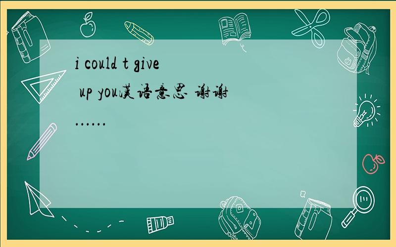 i could t give up you汉语意思 谢谢．．．．．．