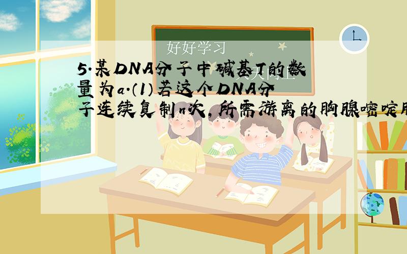 5．某DNA分子中碱基T的数量为a.（1）若这个DNA分子连续复制n次,所需游离的胸腺嘧啶脱氧核苷酸数为_______________.（2）第n次复制所需游离的胸腺嘧啶脱氧核苷酸数为_______.