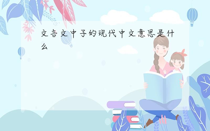 文言文中子的现代中文意思是什么