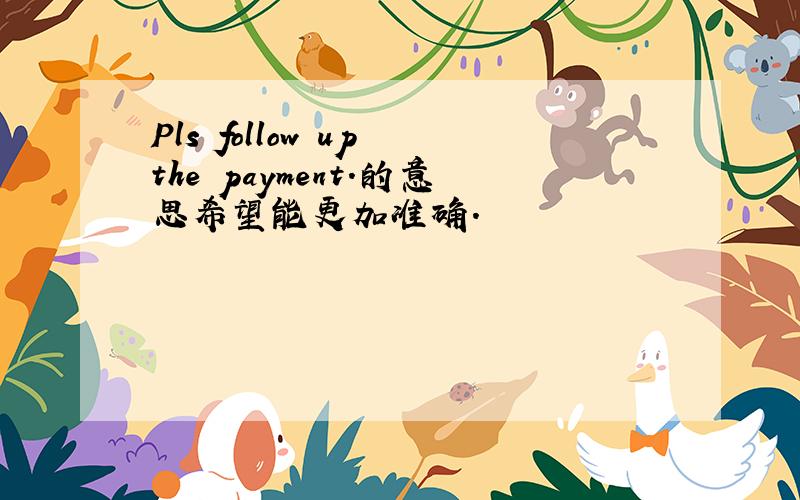 Pls follow up the payment.的意思希望能更加准确.